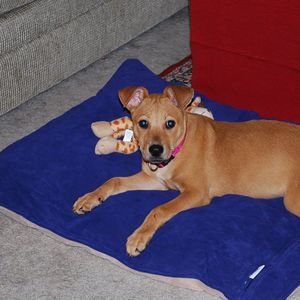 Meet your Posher, Molly mae